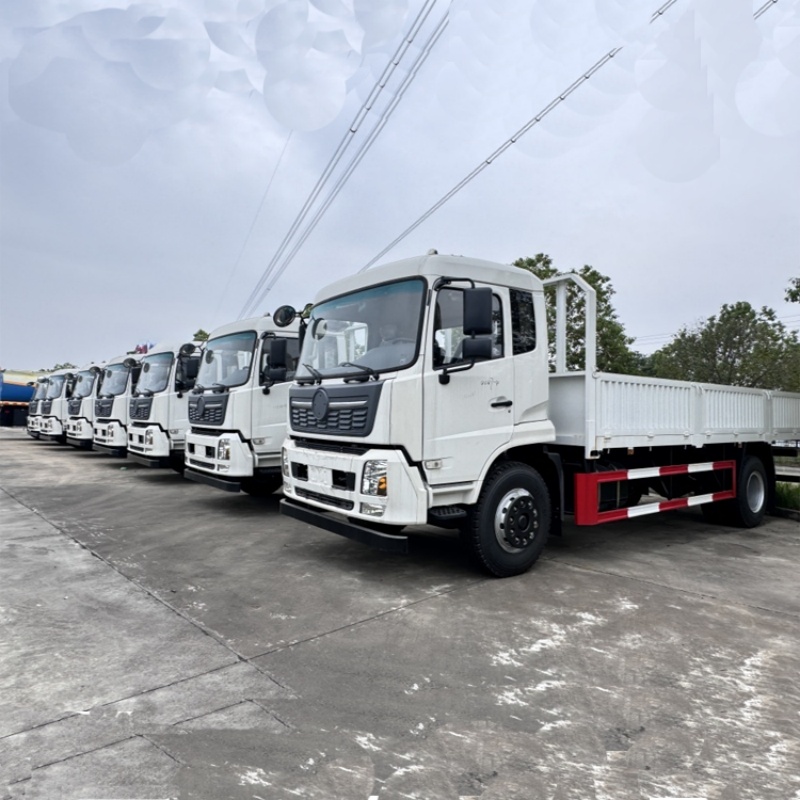 شاحنة دونغفنغ تيانجين VR 4 × 2