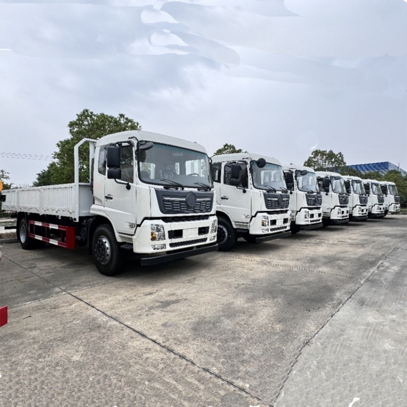 شاحنة دونغفنغ تيانجين VR 4 × 2